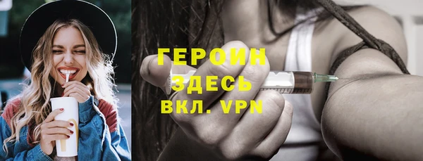 твердый Гусев