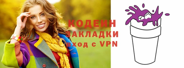 твердый Гусев