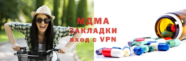 твердый Гусев