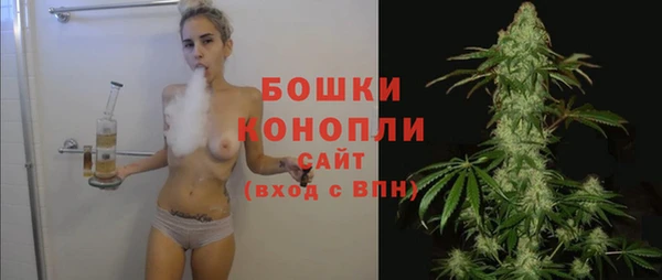 твердый Гусев