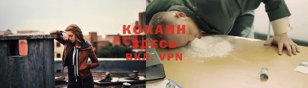 твердый Гусев