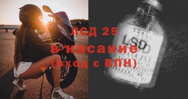 твердый Гусев