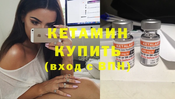 твердый Гусев