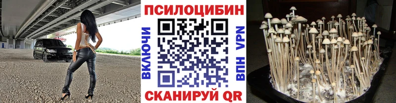 Галлюциногенные грибы прущие грибы  Купить где  Белокуриха 